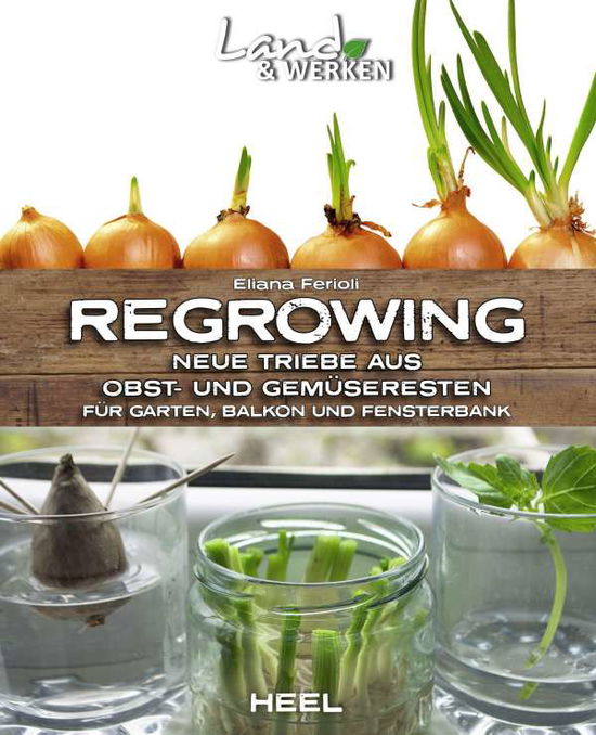 Cover for Ferioli · Regrowing - vom Gemüserest zum (Book)