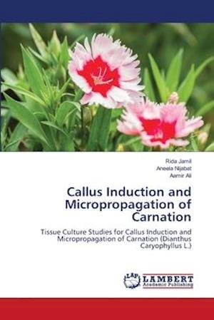 Cover for Jamil · Callus Induction and Micropropaga (Buch) (2018)