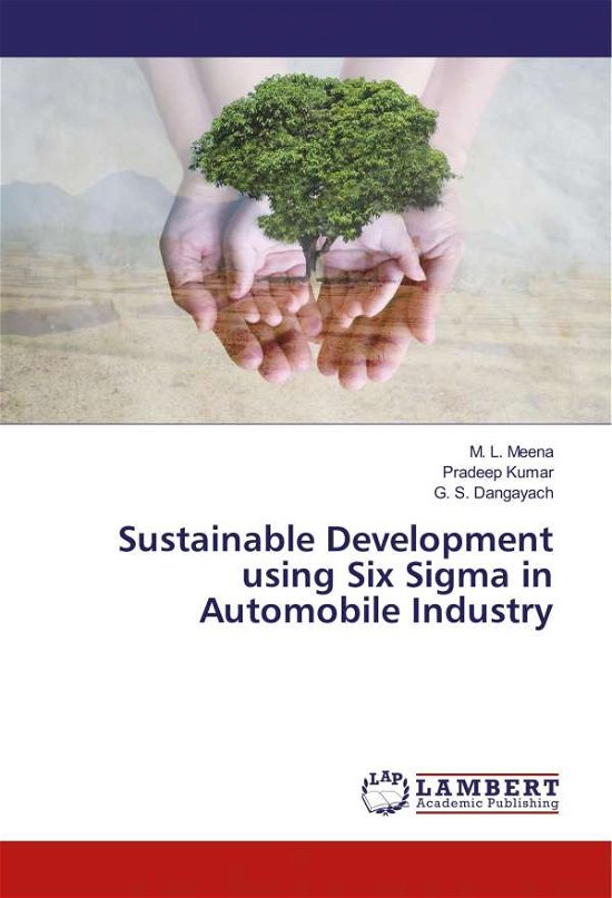 Cover for Meena · Sustainable Development using Six (Bog)