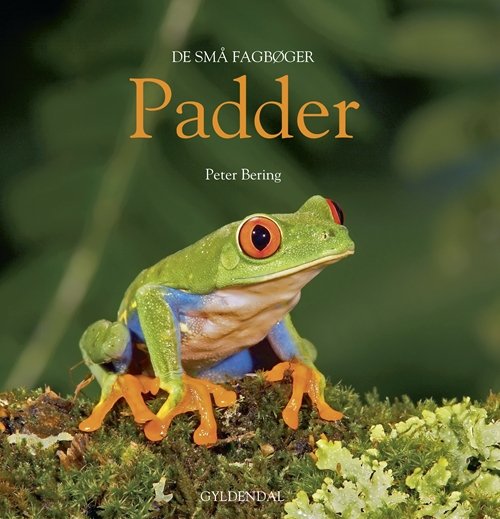Cover for Peter Bering · De små fagbøger: Padder (Poketbok) [1:a utgåva] (2009)