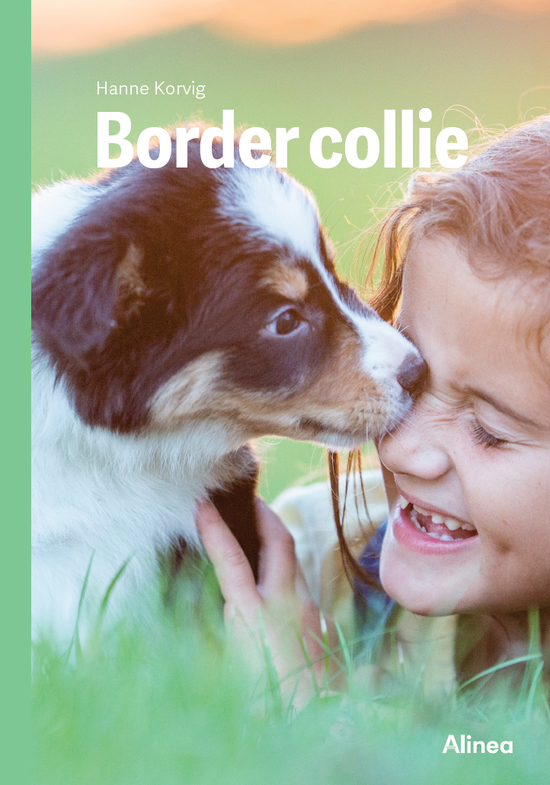 Cover for Hanne Korvig · Hunde: Border collie, Grøn Fagklub (Bound Book) [1. wydanie] (2025)