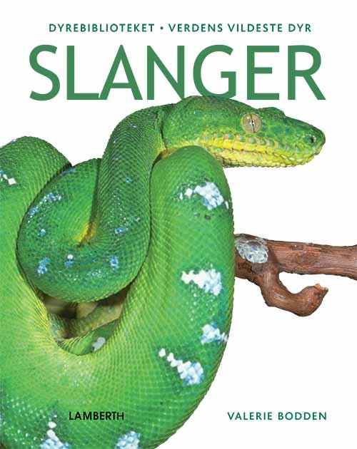 Cover for Valerie Bodden · Verdens vildeste dyr: Slanger (Gebundesens Buch) [1. Ausgabe] (2020)
