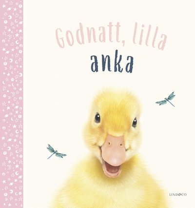 God natt, lilla anka - Amanda Wood - Books - Lind & Co - 9789179032852 - October 2, 2020