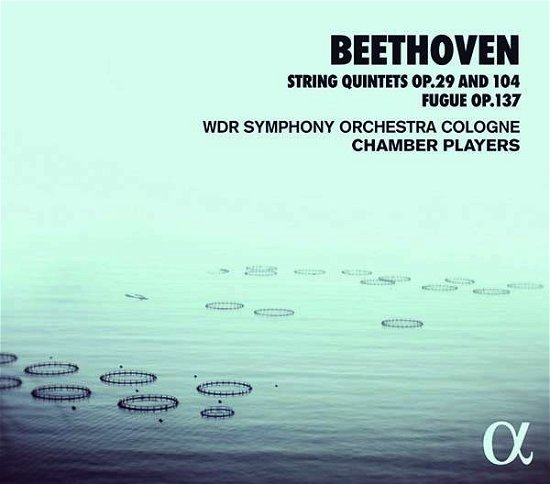Cover for Ludwig Van Beethoven · String Quintets Op.29 &amp; 104/fugue Op.137 (CD) (2020)