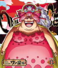 Cover for Oda Eiichiro · One Piece 20th Season Wanokuni Hen Piece.13 (MBD) [Japan Import edition] (2021)