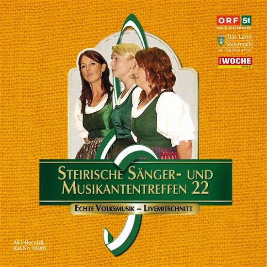 Cover for Sumt Diverse Interpreten · Steir.sänger-&amp; Musikantentreffen 22 (CD) (2012)