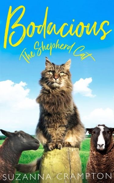 Cover for Bodacious  the Shepherd Cat (Book) (2018)