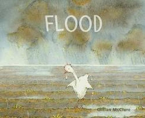 Cover for Gillian McClure · Flood (Paperback Book) (2014)