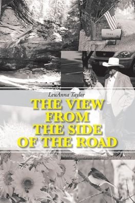 Cover for Leuanna Taylor · The View from the Side of the Road (Pocketbok) (2020)