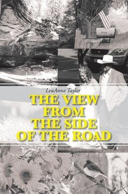 Cover for Leuanna Taylor · The View from the Side of the Road (Paperback Book) (2020)