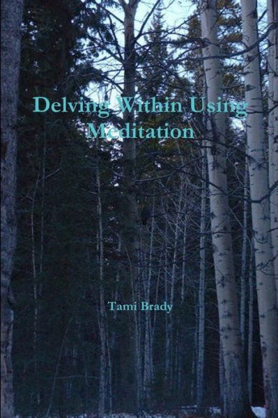 Cover for Tami Brady · Delving Within Using Meditation (Book) (2013)