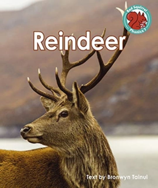 Cover for Bronwyn Tainui · Reindeer - Red Squirrel Phonics Level 7 (Paperback Bog) (2021)