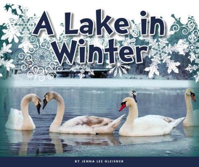 Cover for Jenna Lee Gleisner · A Lake in Winter (Hardcover Book) (2018)