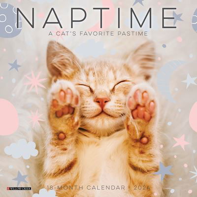 Cover for Willow Creek Press · Naptime (Cats) 2024 7 X 7 Mini Wall Calendar (Calendar) (2023)