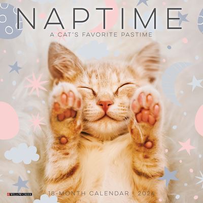 Naptime (Cats) 2024 7 X 7 Mini Wall Calendar - Willow Creek Press - Gadżety - Willow Creek Press - 9781549236853 - 1 sierpnia 2023