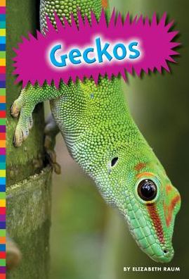 Cover for Elizabeth Raum · Geckos (Lizards (Amicus)) (Hardcover Book) (2014)