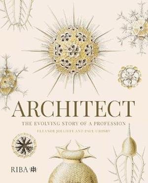 Cover for Eleanor Jolliffe · Architect: The evolving story of a profession (Paperback Book) (2023)