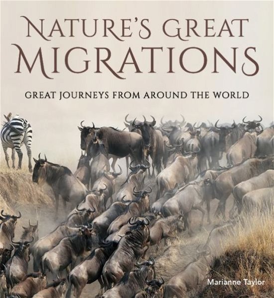 Cover for Marianne Taylor · Natures Great Migrations (Innbunden bok) (2016)