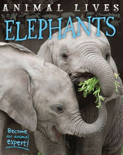 Cover for Sally Morgan · Elephants (Hardcover bog) (2015)