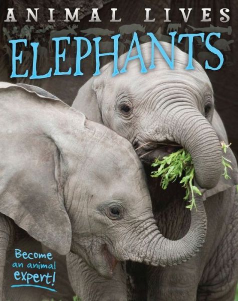 Cover for Sally Morgan · Elephants (Inbunden Bok) (2015)