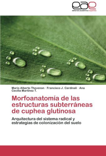 Cover for Ana Cecilia Martínez T. · Morfoanatomía De Las Estructuras Subterráneas De Cuphea Glutinosa: Arquitectura Del Sistema Radical Y Estrategias De Colonización Del Suelo (Paperback Book) [Spanish edition] (2014)