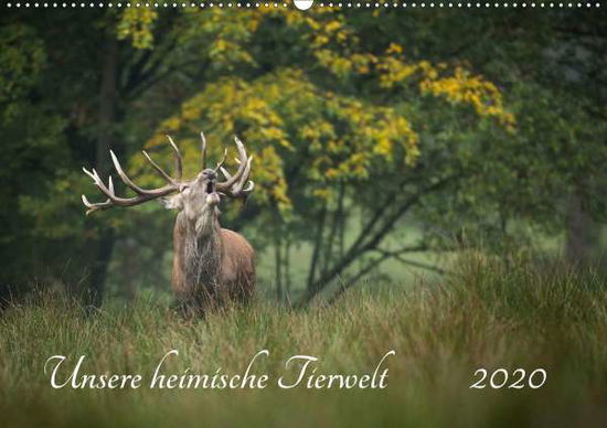 Cover for Reibert · Unsere heimische Tierwelt (Wand (Book)