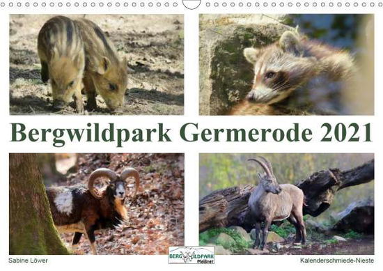 Cover for Löwer · Bergwildpark Germerode (Wandkalen (Buch)