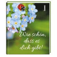 Wie schön, dass es dich gibt! - St. Benno Verlag GmbH - Książki - St. Benno Verlag GmbH - 9783746260853 - 6 stycznia 2022