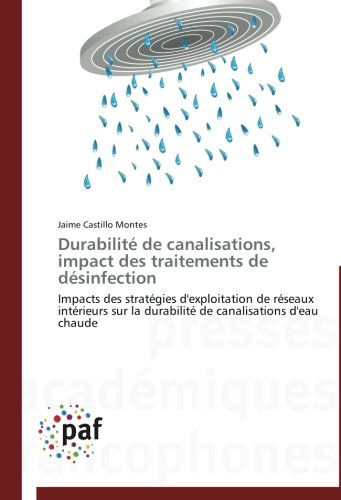 Cover for Jaime Castillo Montes · Durabilité De Canalisations, Impact Des Traitements De Désinfection (Paperback Book) [French edition] (2018)