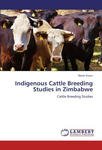 Cover for Never Assan · Indigenous Cattle Breeding Studies in Zimbabwe (Paperback Book) (2011)
