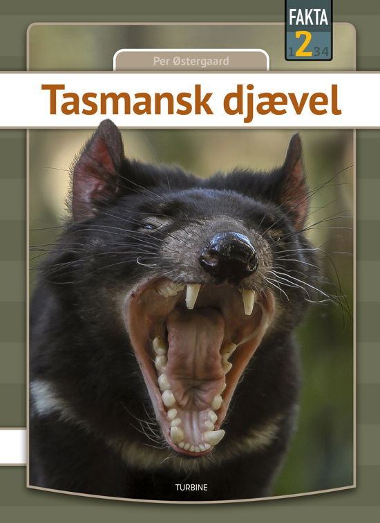 Cover for Per Østergaard · Fakta 2: Tasmansk djævel (Hardcover Book) [1. Painos] (2024)