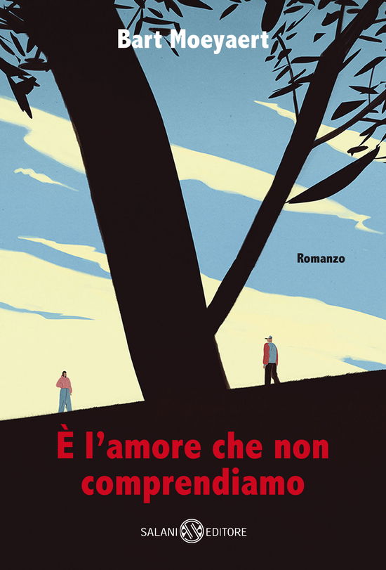 E' L'amore Che Non Comprendiamo - Bart Moeyaert - Libros -  - 9788831008853 - 