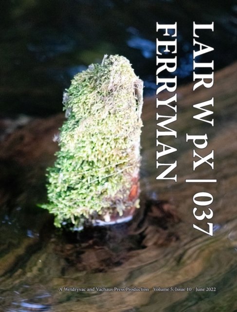 Cover for Wetdryvac · LAIR W pX 037 Ferryman (Hardcover Book) (2024)