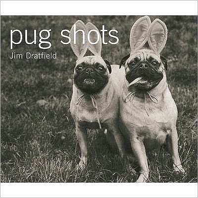 Pug Shots - Jim Dratfield - Books - Ebury Publishing - 9780091900854 - November 4, 2004