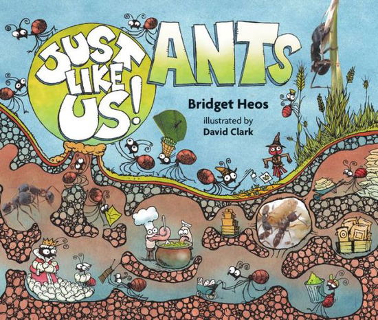 Cover for Bridget Heos · Just Like Us! Ants (Paperback Book) (2019)