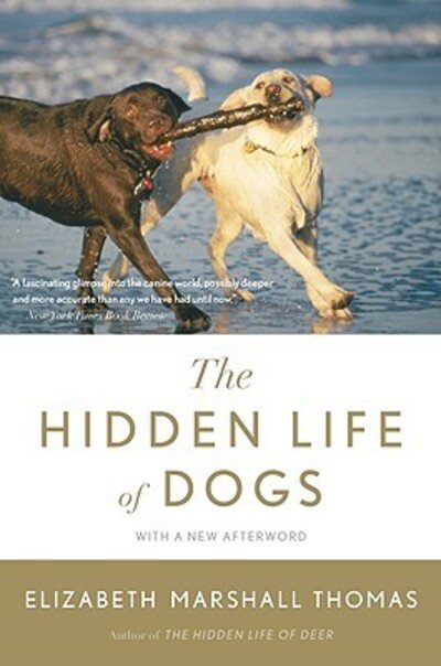 Cover for Elizabeth Marshall Thomas · The hidden life of dogs (Bok) (2010)