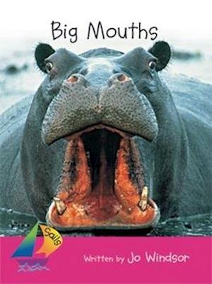Cover for Rigby · Rigby Sails Emergent Leveled Reader Big Mouths, Satellite (Bok) (2003)