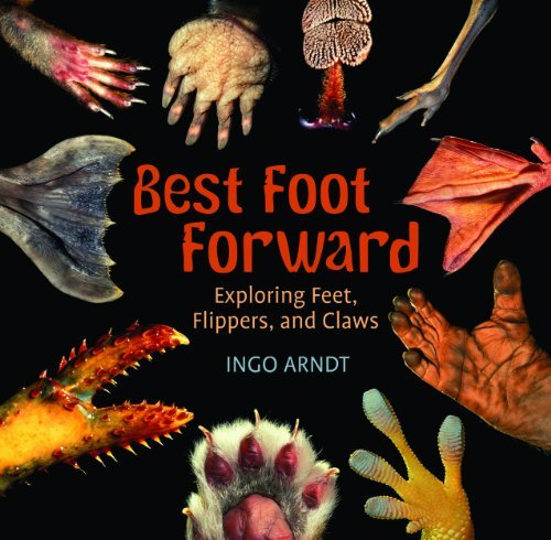 Cover for Ingo Arndt · Best Foot Forward: Exploring Feet, Flippers, and Claws (Pocketbok) (2014)
