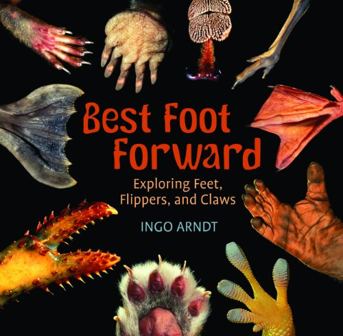 Cover for Ingo Arndt · Best Foot Forward: Exploring Feet, Flippers, and Claws (Paperback Book) (2014)