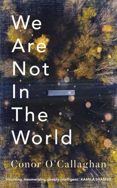 Cover for Conor O'Callaghan · We Are Not in the World: 'compelling and profoundly moving' Irish Times (Hardcover Book) (2021)