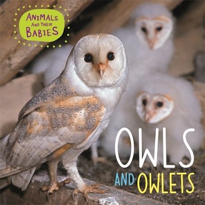Cover for Annabelle Lynch · Animals and their Babies: Owls &amp; Owlets - Animals and their Babies (Paperback Book) [Illustrated edition] (2019)