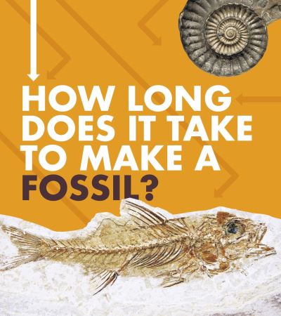 Cover for Emily Hudd · How Long Does It Take to Make a Fossil? - How Long Does It Take? (Hardcover Book) (2020)