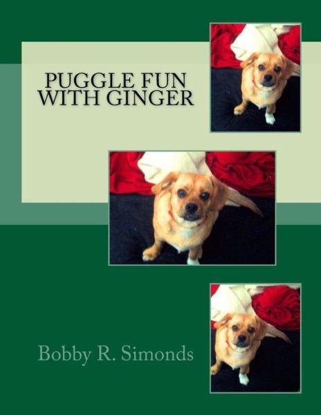 Cover for Bobby R Simonds · Puggle Fun with Ginger (Paperback Book) (2016)