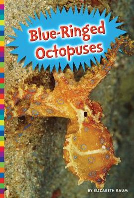 Cover for Elizabeth Raum · Blue-ringed Octopuses (Inbunden Bok) (2015)