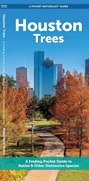 Cover for Waterford Press · Houston Trees: A Folding Pocket Guide to Familiar Trees - Nature Observation North America (Pamphlet) (2025)