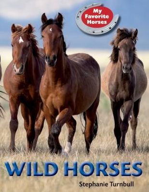 Cover for Stephanie Turnbull · Wild Horses (My Favorite Horses) (Hardcover bog) (2015)