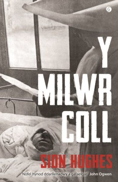 Milwr Coll, Y - Sion Hughes - Książki - Gomer Press - 9781785622854 - 29 października 2018