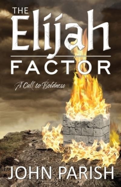 Cover for John Parish · The Elijah Factor (Taschenbuch) (2021)