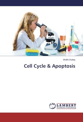Cover for Widhi Dubey · Cell Cycle &amp; Apoptosis (Pocketbok) (2014)