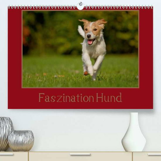 Cover for Bischof · Faszination Hund (Premium-Kalen (Book)